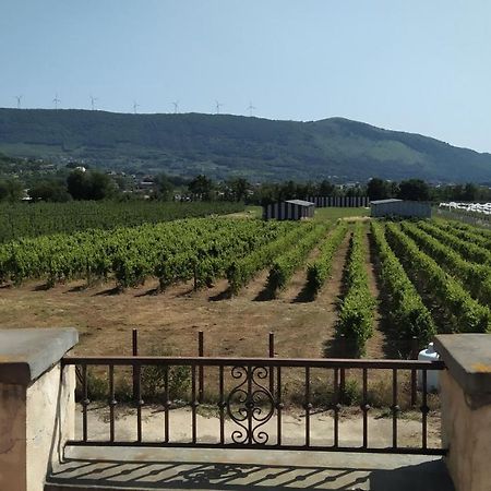 SantʼAgata deʼ Goti Agriturismo Il Casale Del Cavaliere מראה חיצוני תמונה