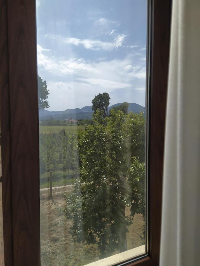 SantʼAgata deʼ Goti Agriturismo Il Casale Del Cavaliere מראה חיצוני תמונה